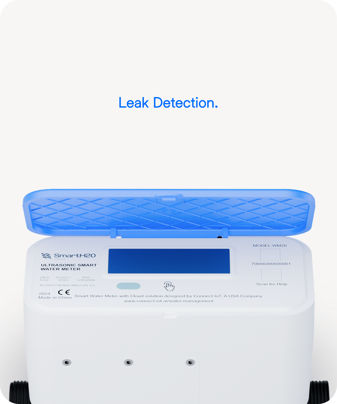 Smart Entry System